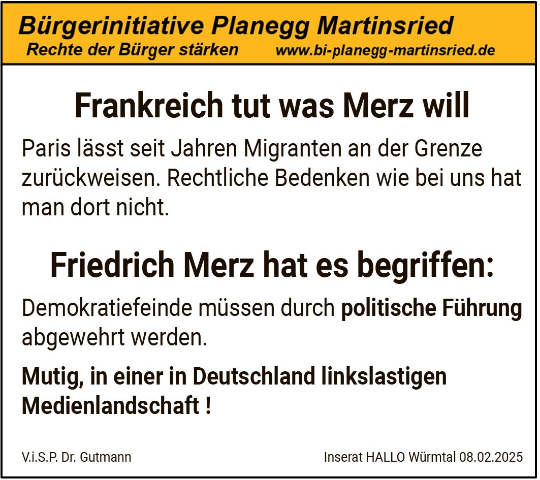 Politische Führung von Friedrich Merz